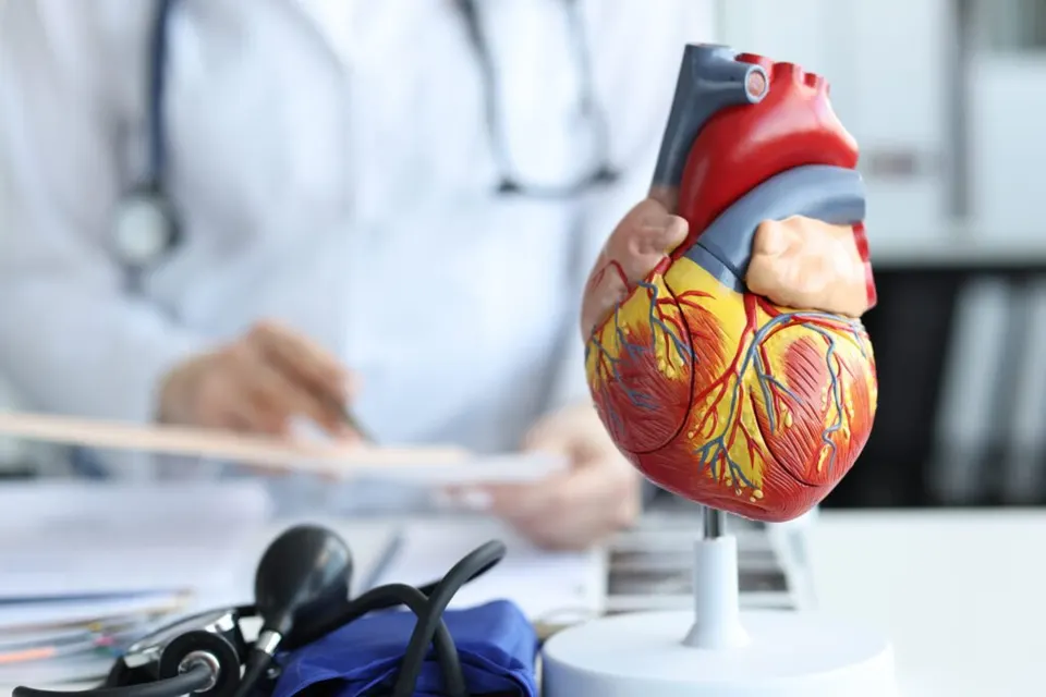 عيادة أمراض القلب — عيادات 101 التجمع الخامس